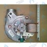 5682150 Вентилятор BAXI FOURTECH, ECO (Four, 4s), MAIN, MAIN (Four, Digit) 18-24 F в Орске
