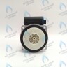 PH-W30CW50-GW95BX Двигатель насоса PUMP WA15/5 (без улитки) (по часовой стрелке) 15/5 (замена WILO 15/5 BAXI, NEVALUX, THERMONA, PROTHERM СКАТ K11) в Орске