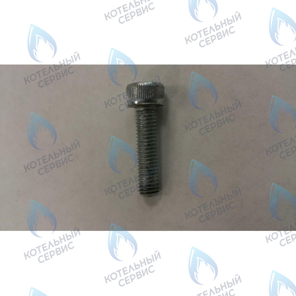 599130079 Винт M5X20 BAXI в Орске