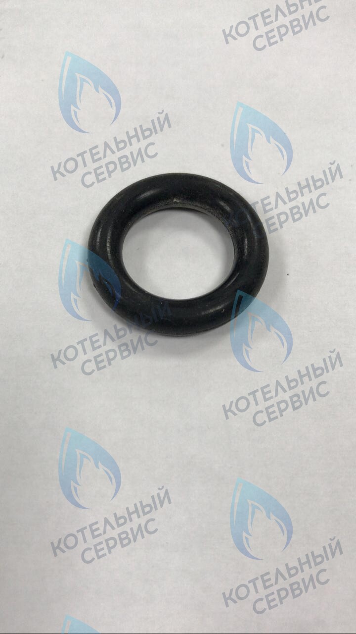 39864460 Прокладка O-ring циркуляционного насоса FERROLI (RU) в Орске