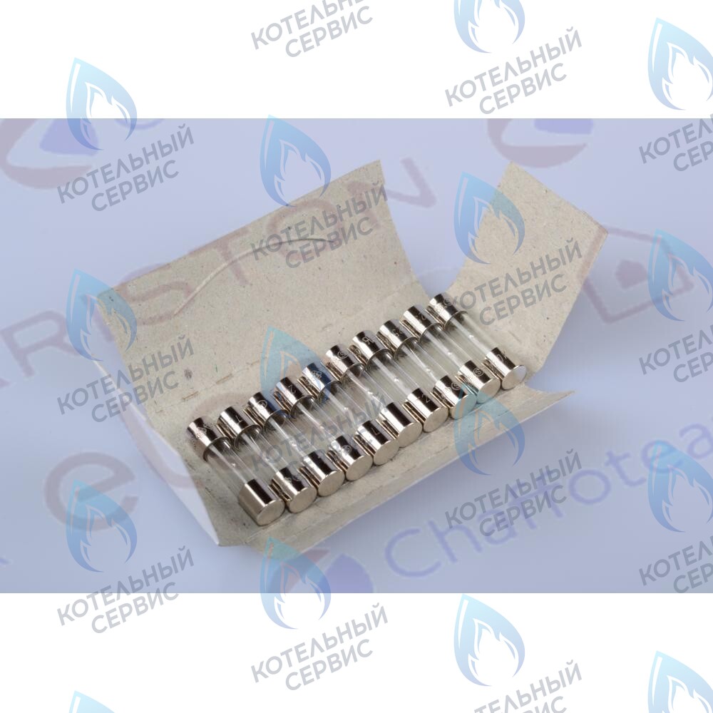 61003456 Предохранитель 250v 2a CHAFFOTEAUX в Орске