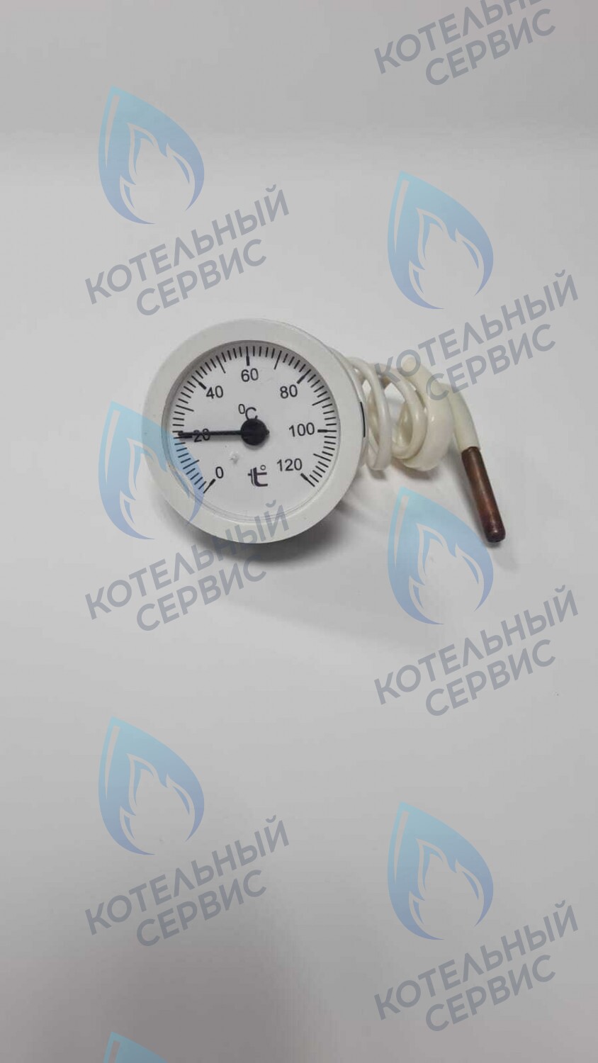 ST002-02 Термометр капиллярный круглый белое кольцо d 51,5 мм, длина капилляра 550 мм, 0-120С в Орске