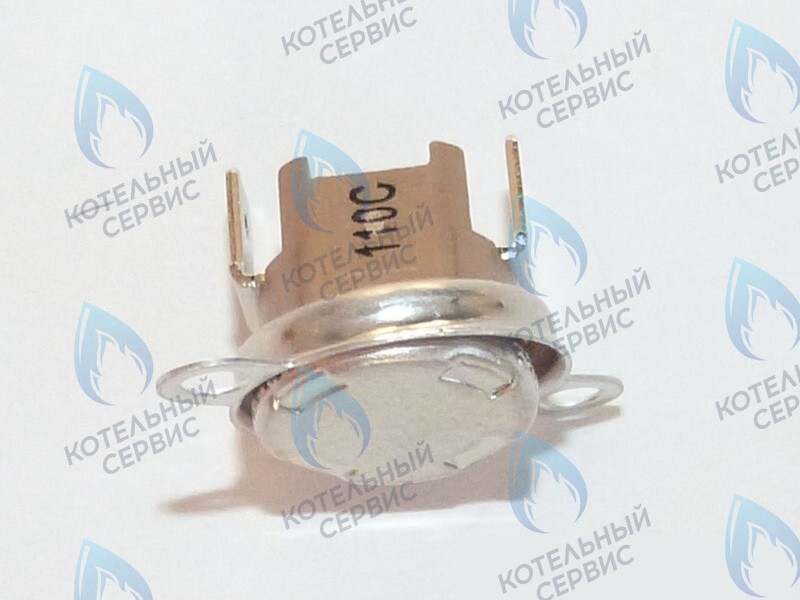 87172061620 Ограничитель нагрева STB 110°C U02X/U04X/U05X/ZSA/ZWA/ZWE BUDERUS в Орске