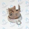 87172061620 Ограничитель нагрева STB 110°C U02X/U04X/U05X/ZSA/ZWA/ZWE BUDERUS в Орске