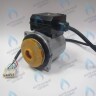 PH-W21CCW50-GW95R-5PIN Двигатель насоса WR15/5-2V (против часовой стрелки) PROTHERM Пантера 25 KTV H-RU (0020197548), Гепард, Пантера V.19 (только для ТУРБО!) (0020097216) (замена WILO INTVACL 15/5-2) в Орске