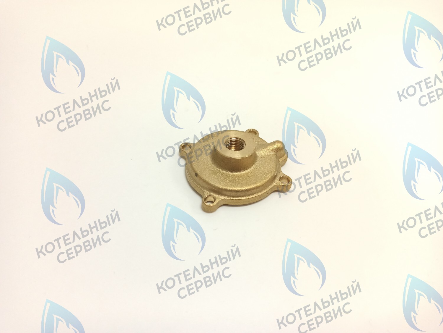 50101027 Крышка датчика протока (50101027) ELECTROLUX в Орске