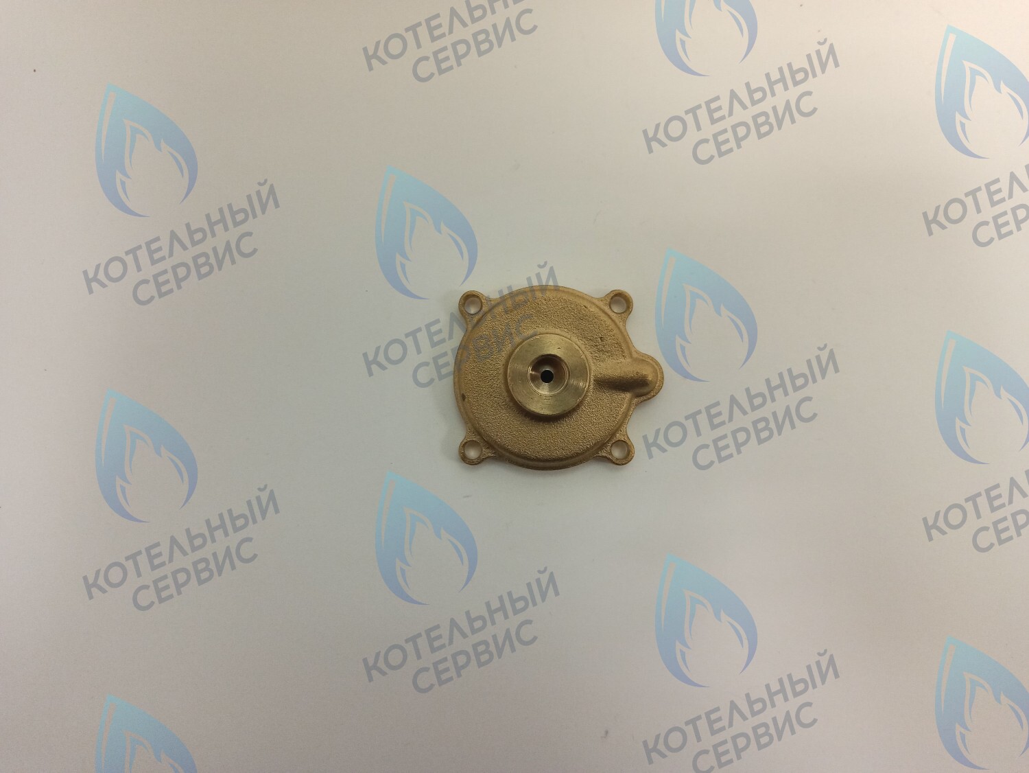 50101027 Крышка датчика протока (50101027) ELECTROLUX в Орске