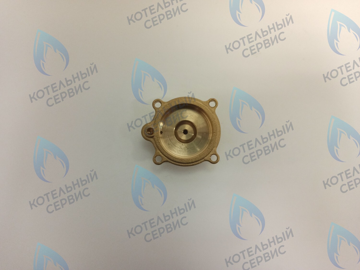 50101027 Крышка датчика протока (50101027) ELECTROLUX в Орске