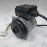 PH-W21CW60-GW105-5PIN Двигатель насоса WS15/6-2V (по часовой стрелке) PROTHERM Лев, Пантера V.18 (0020078492), Скат K13, Дельфин (0020094635), Скат V14 (0010025841) VAILLANT atmo/turboTEC 20-28 КВТ (0020213167, 0020005803), eloBLOCK (0020107584) (замена WILO VHSL15/6 HE-2, INT в Орске