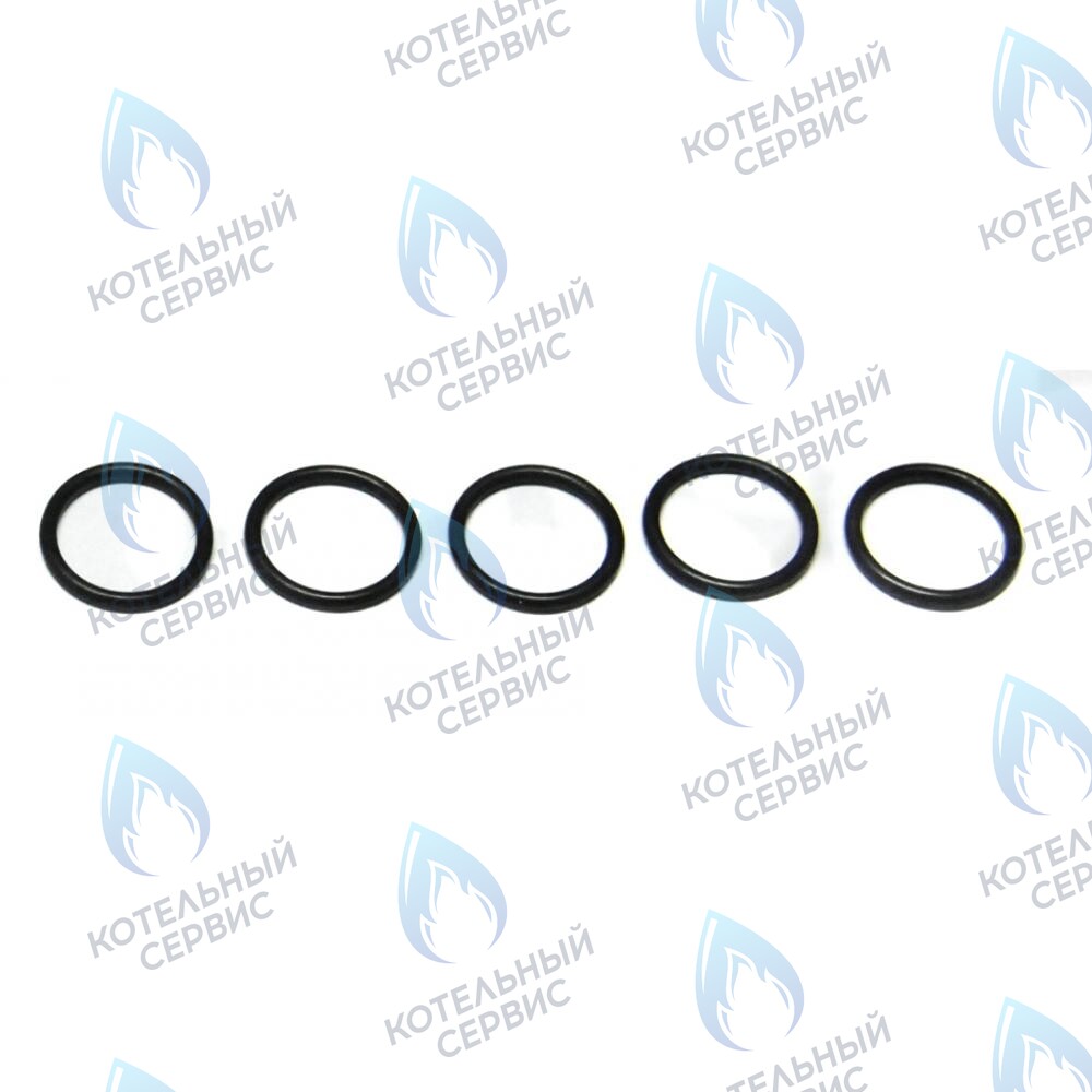 5406360 Уплотнение кольцевое BAXI в Орске