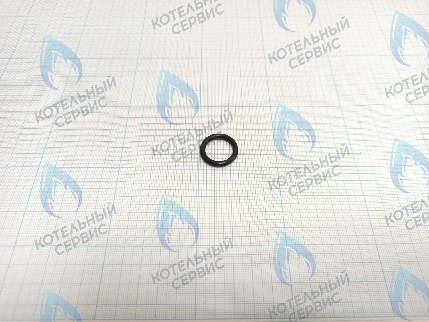 TY02020049 Прокладка O-Ring 25x18x3.55 (TY02020049) ROYAL THERMO в Орске