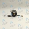 PH-W21CW50-DA84-4PIN Двигатель насоса DUCA APW 15-5.2A (2 скорости) аналог Wilo Ariston (65104319, 60000591) в Орске
