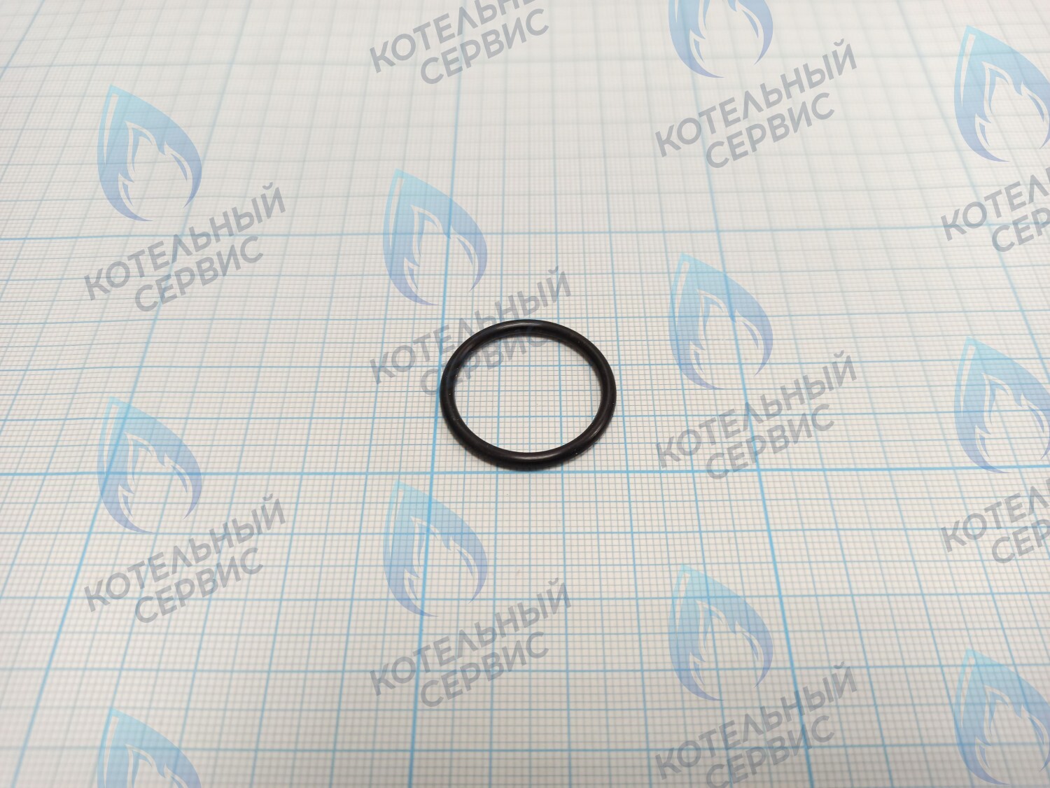 T10123-04 Прокладка уплотнительная резиновая 24x2,5 EPDM ROC в Орске
