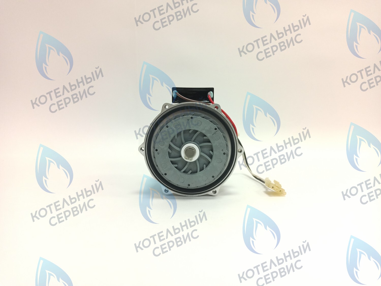 PH-S46CW73-CS77 Двигатель насоса (без улитки, с прокладкой) 77w GRUNDFOS CS-0108DSB ARDERIA 2.13-20, CELTIC-DS 3.13-3.20, MASTER GAS SEOUL 11-21, DAESUNG A16-24 в Орске