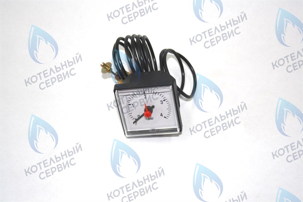 0020027570 Манометр белый Protherm PLO KLO KLZ в Орске
